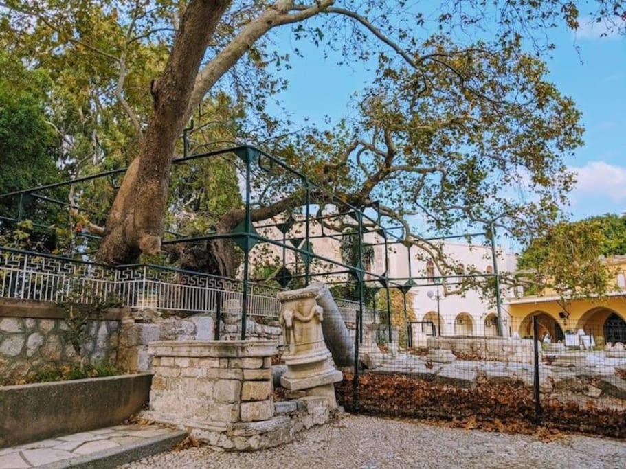 Apartment Amalthea Kos Town